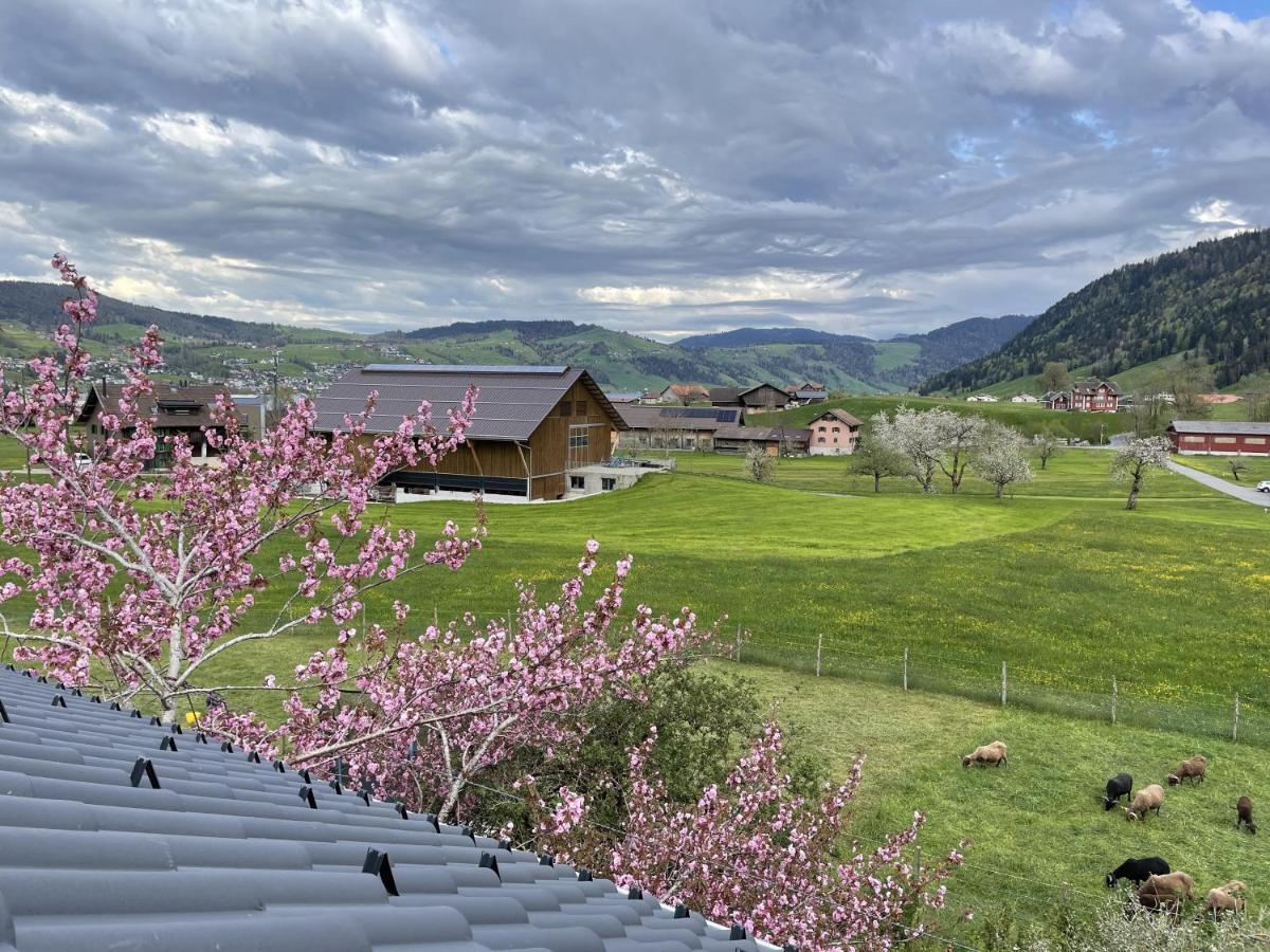 Naturnoech Unterägeri Buitenkant foto