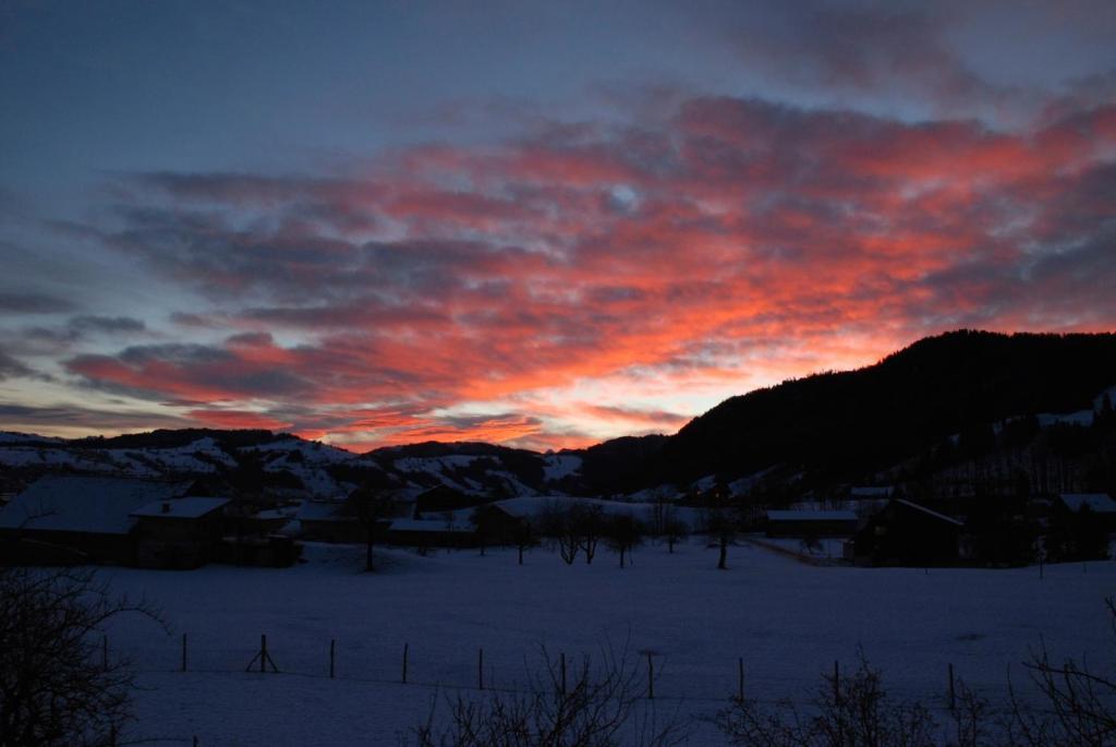 Naturnoech Unterägeri Kamer foto