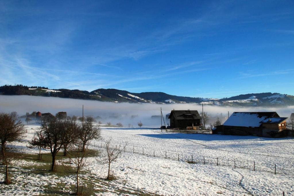 Naturnoech Unterägeri Kamer foto