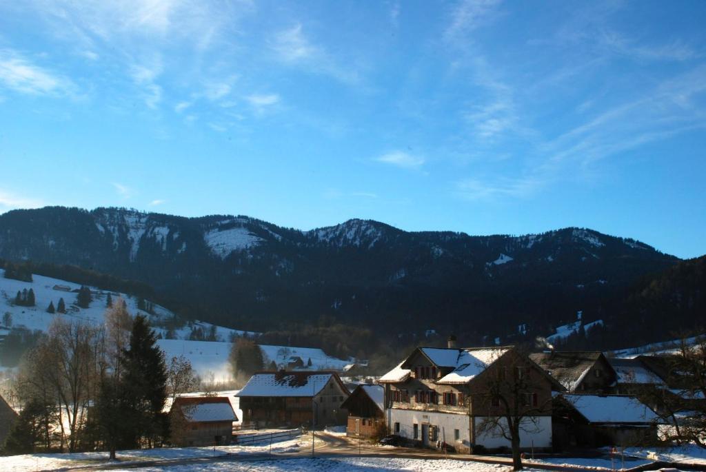 Naturnoech Unterägeri Kamer foto
